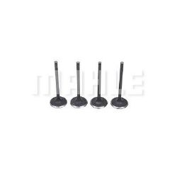 Imagem de Válvula de Admissão TOYOTA COROLLA/FIELDER - MAHLE/METAL LEVE VA0630207