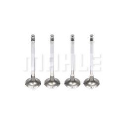 Imagem de Válvula de Escape FORD FOCUS/MONDEO - MAHLE/METAL LEVE VE0590182