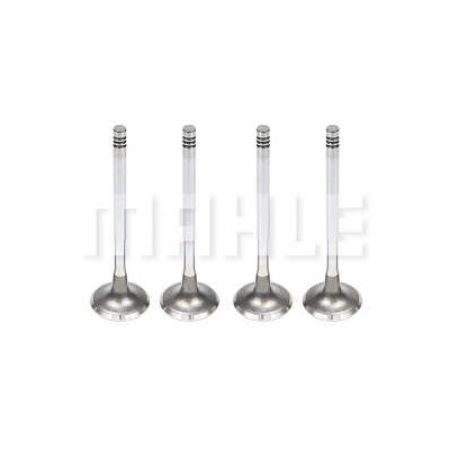 Imagem de Válvula de Escape FORD FOCUS/MONDEO - MAHLE/METAL LEVE VE0590182