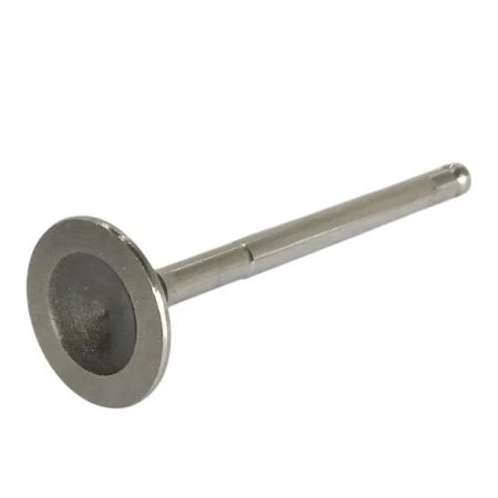 Imagem de Válvula de Escape - MOTORBEST 01334600